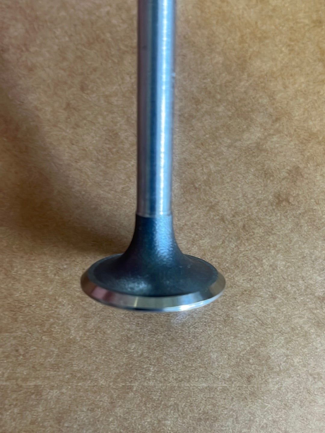 NOS Intake Valve XR75 73-76